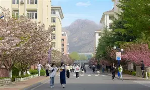 球盟会官方网站-青岛黄海俱乐部最新引援消息